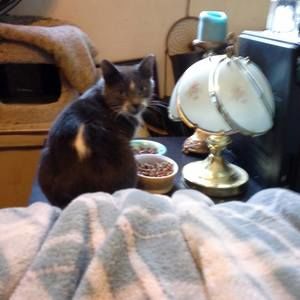 Meet your Posher, Lee